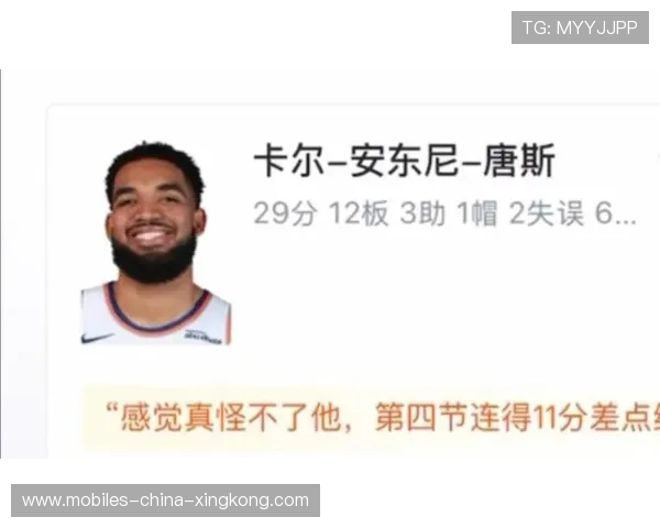 尼克斯硬仗专家