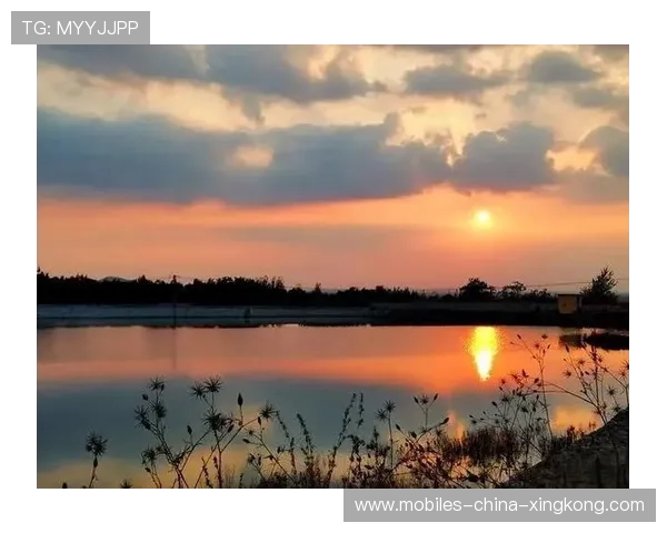 大连英博推进节奏一浪高过一浪